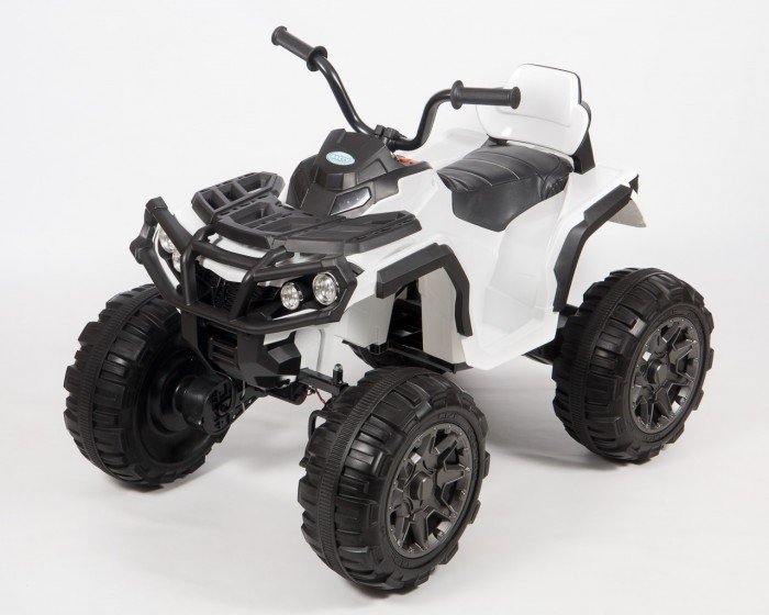 Квадроциклы и миникроссы Barty Электроквадроцикл детский Т001МР (2WD)